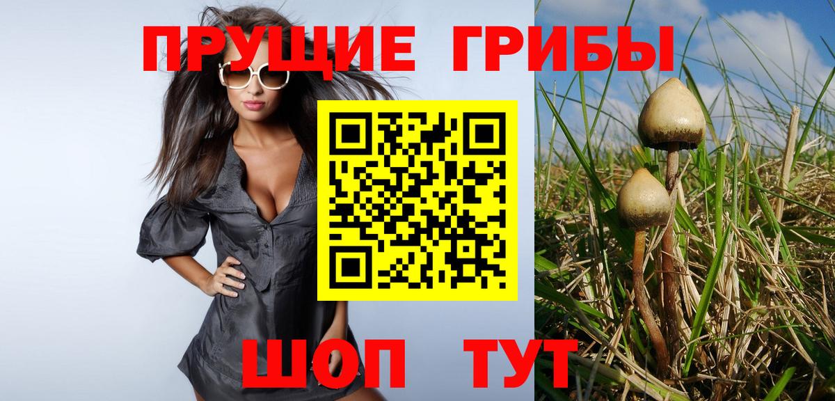 Псилоцибиновые грибы GOLDEN TEACHER  Галлюциногенные грибы Psilocybe  Вход с VPN  магазин продажи   Анжеро-Судженск 