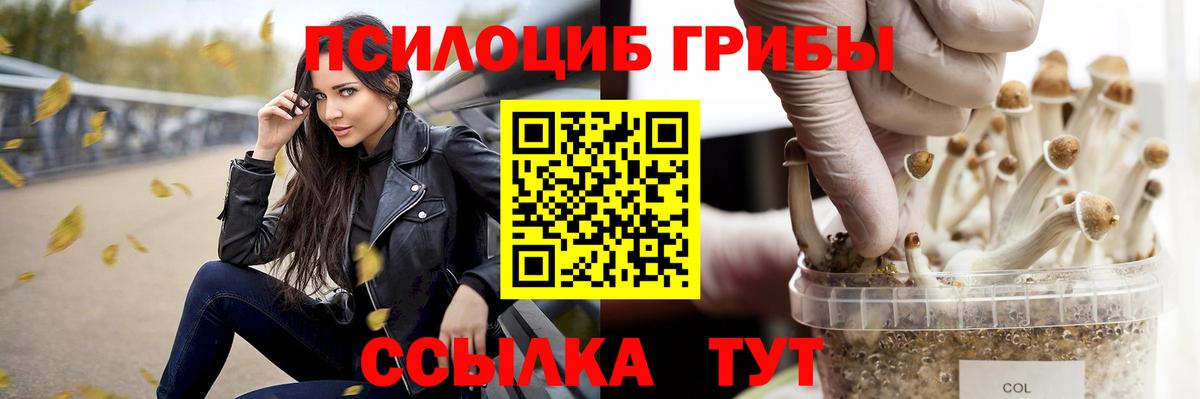 Псилоцибиновые грибы прущие грибы Анжеро-Судженск